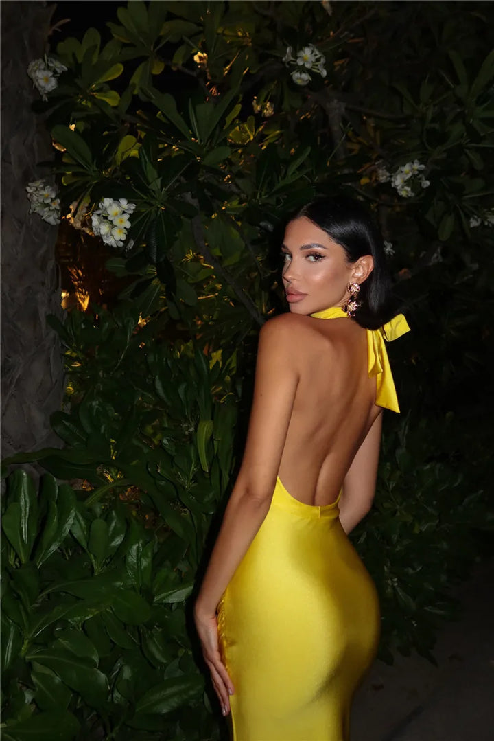 Solene Halter Plunge Gown